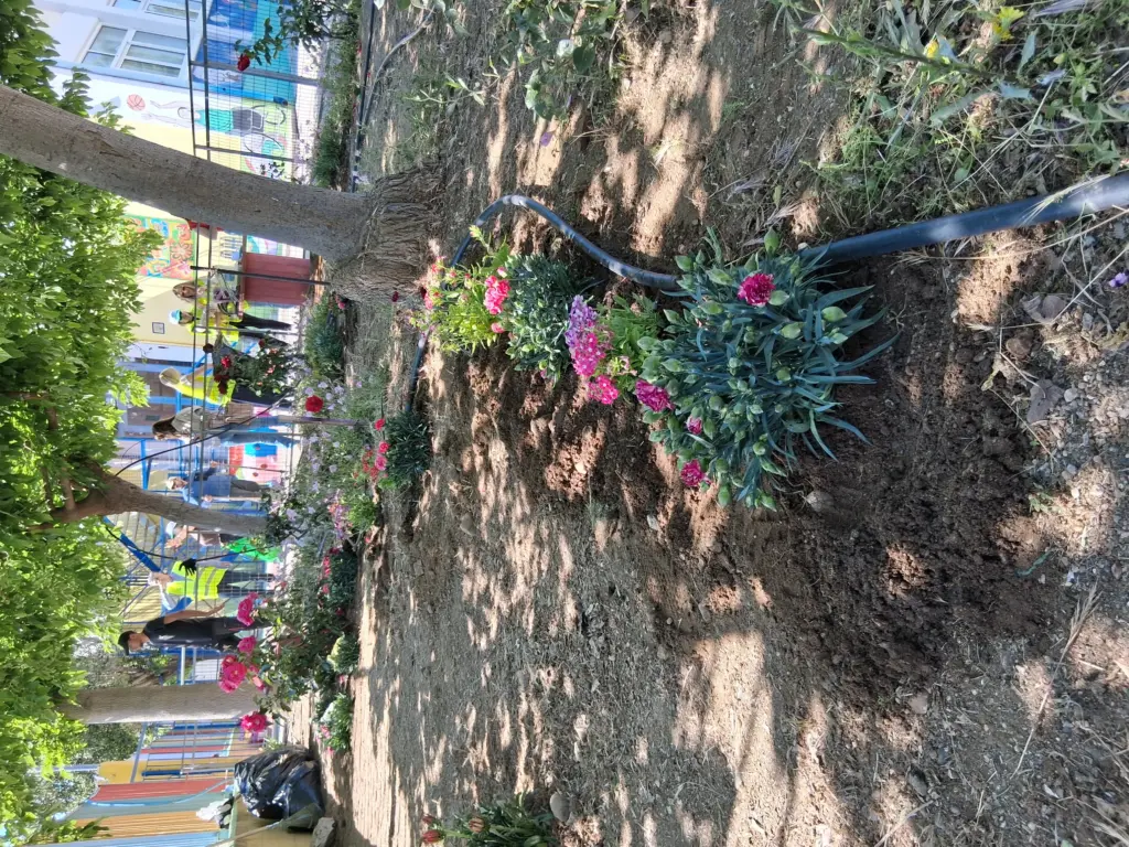 Green market corinth 1000014985